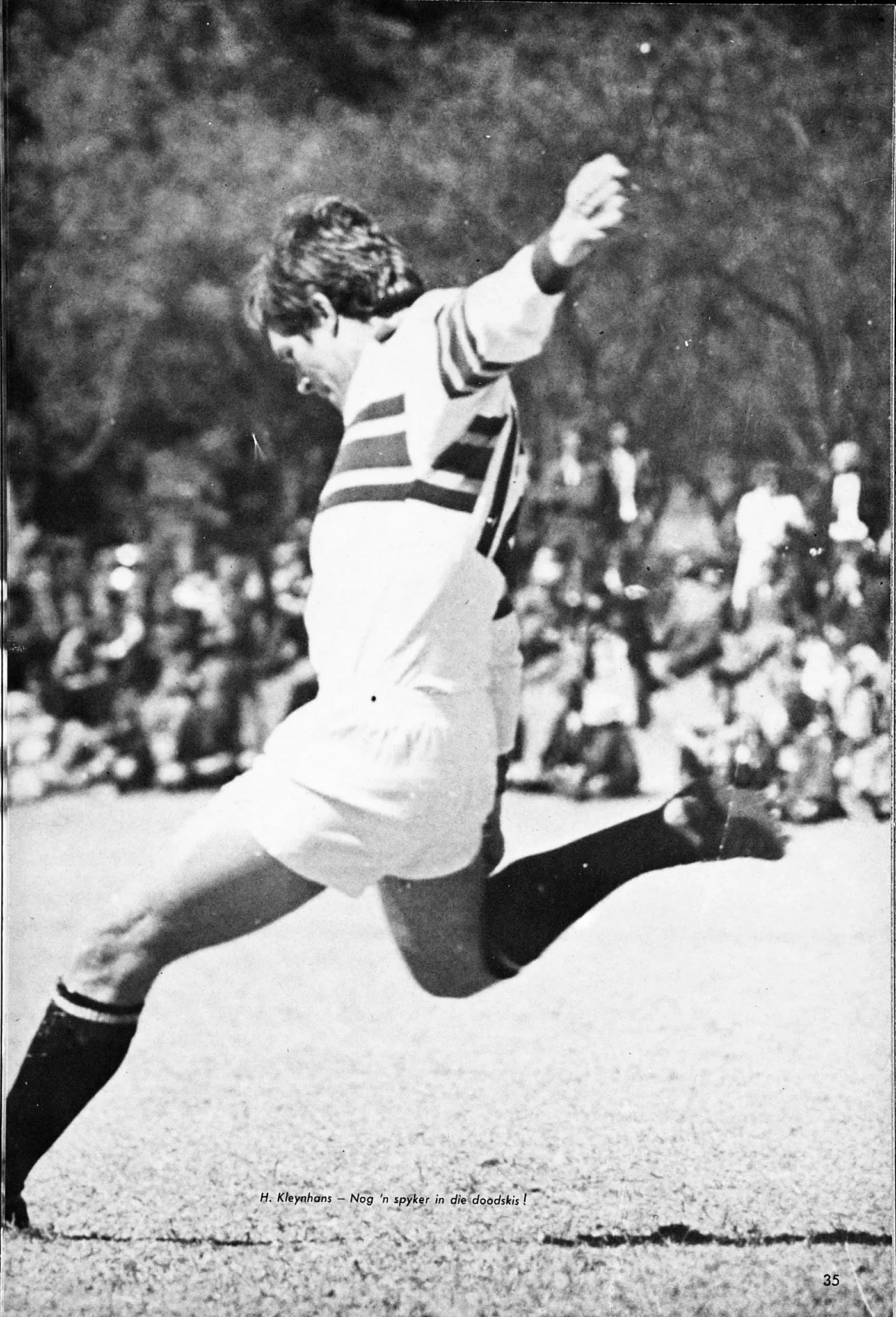 'n Affie-rugbyspeler skop die bal voor 'n vol pawiljoen